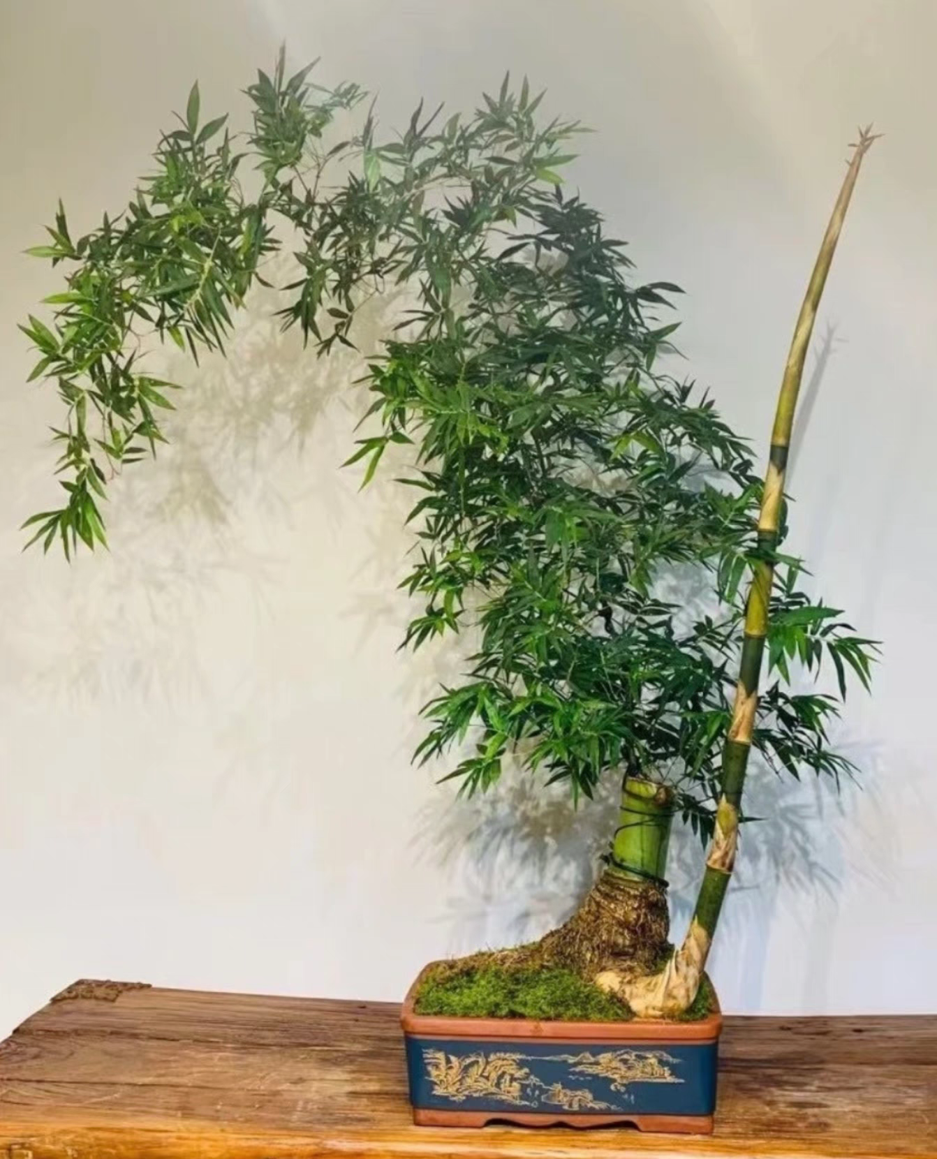 Teahouse greenery
